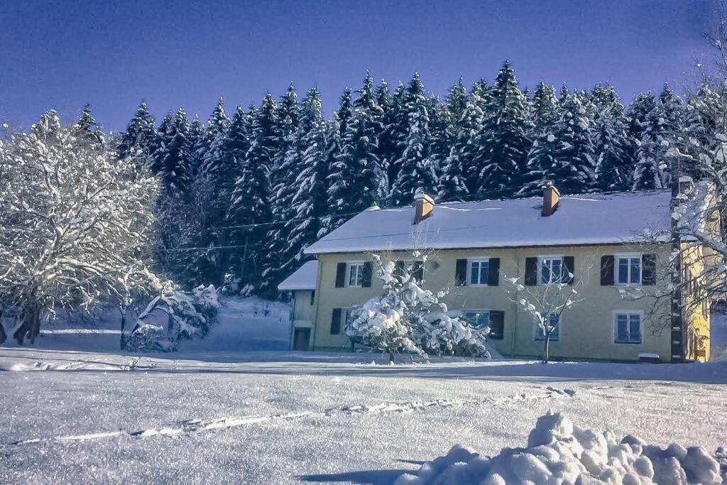 Chalet Cosy Lisiere De Foret Xonrupt-Longemer Exteriér fotografie