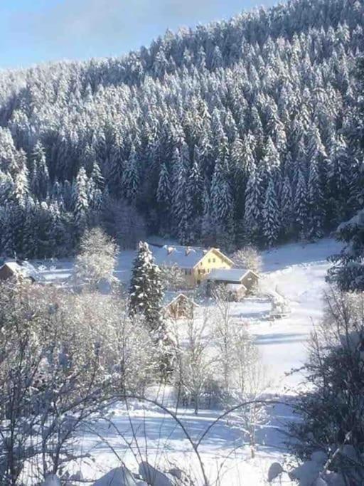 Chalet Cosy Lisiere De Foret Xonrupt-Longemer Exteriér fotografie