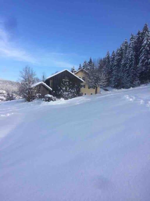 Chalet Cosy Lisiere De Foret Xonrupt-Longemer Exteriér fotografie